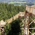 Für Schwindelfreie: Der gut 2 km lange Baumkronenweg in Kopfing