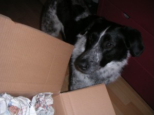 Darf ich jetzt? Mikas Kiste "Darf ich jetzt?" Mikas Kiste