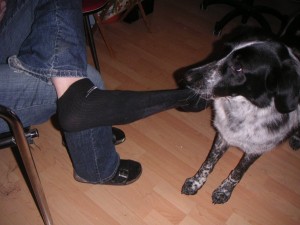 Mika zieht Socken aus Mika zieht Socken aus