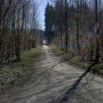 Die Hauptwege sind gut ausgebaut und eignen sich auch prima für Radtouren