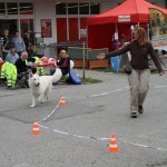 Petra Ertl beim Longieren mit Duke