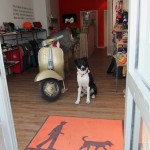 Isarhunde-Adventskalender Türchen 12: Isarfreude