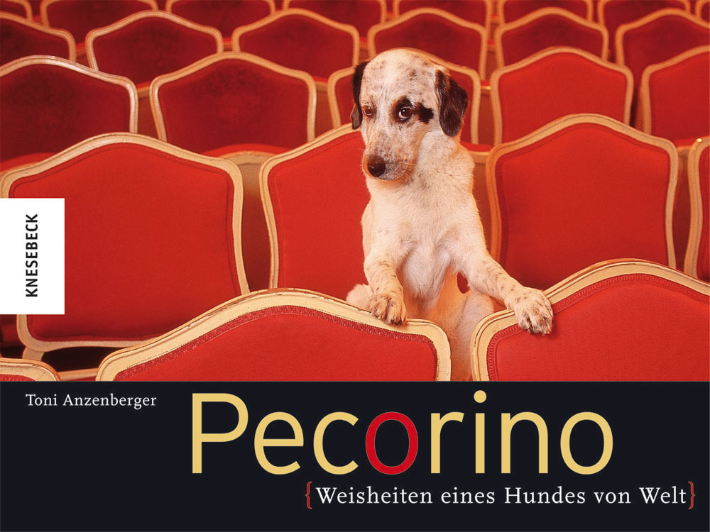 Isarhunde lesen: „Pecorino. Weisheiten eines Hundes von Welt”