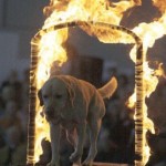 Bei der IHA München 2011 wird's wieder heiß: Ein spannendes Showprogramm und jede Menge Shoppingmöglichkeiten warten auf euch!