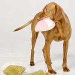 Das Osterhunde-Spiel