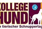 Tipps und Termine KW 26: Kollege Hund
