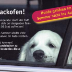 Tipps und Termine KW 34: Kühlen Kopf bewahren