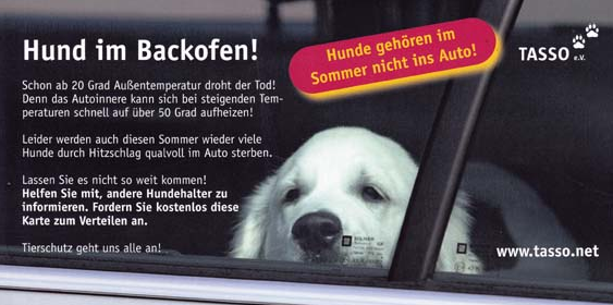 Tasso Aktion "Hund im Backofen"